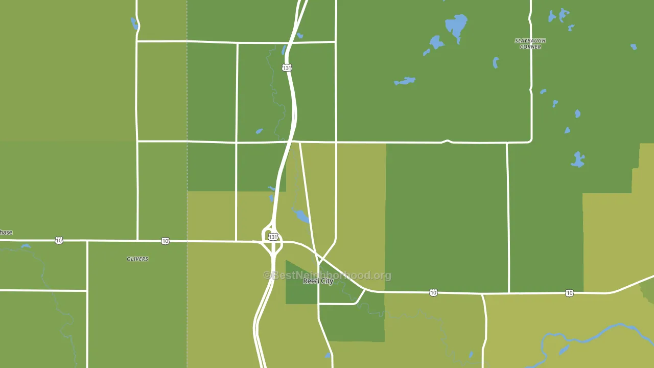 Reed City, MI block-group voter-turnout map