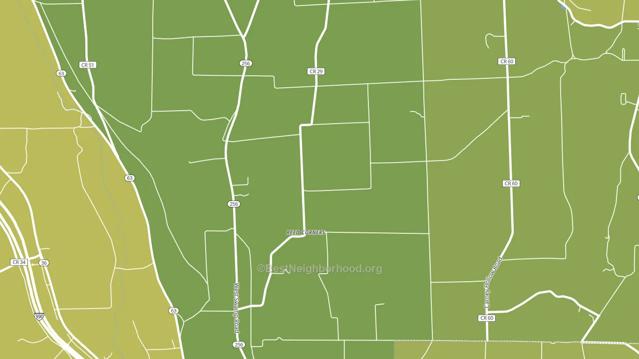 Reed Corners, NY block-group voter-turnout map