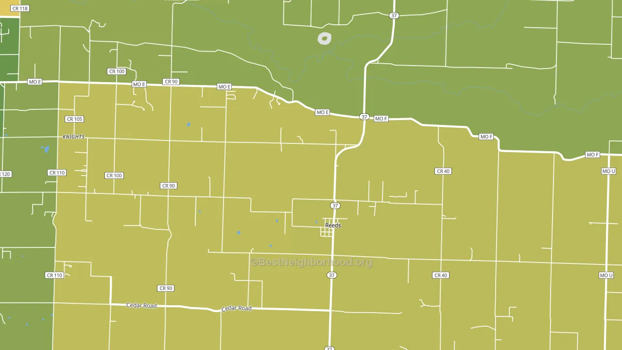 Reeds, MO block-group voter-turnout map