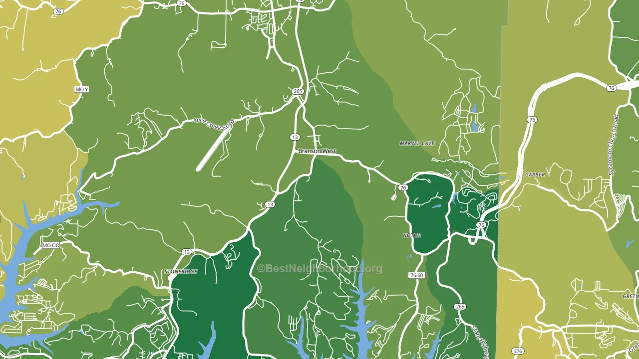 Reeds Spring, MO block-group voter-turnout map