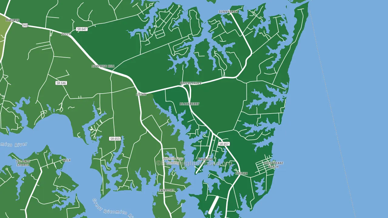 Reedville, VA block-group voter-turnout map