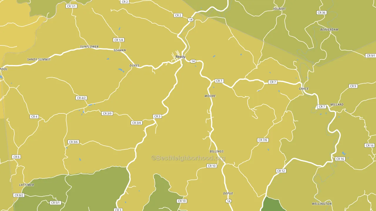Reedy, WV block-group voter-turnout map
