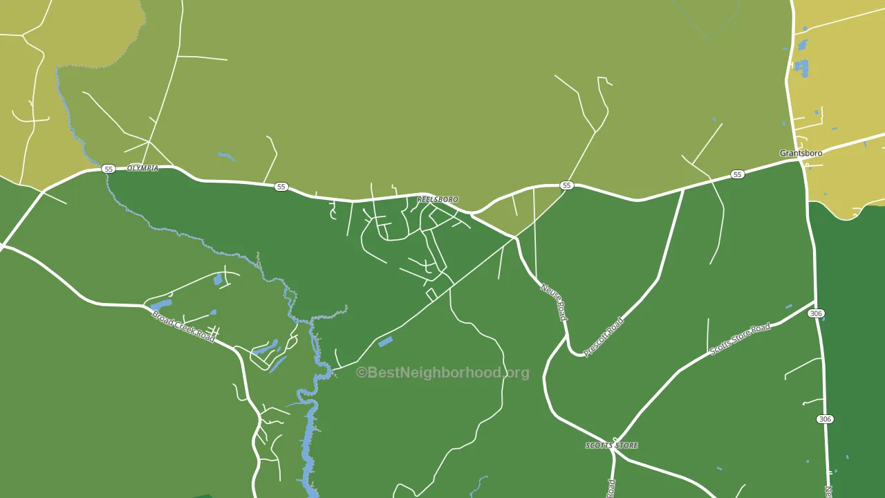 Reelsboro, NC block-group voter-turnout map