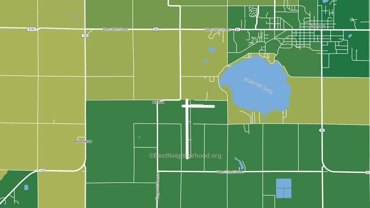 Reeman, MI block-group voter-turnout map