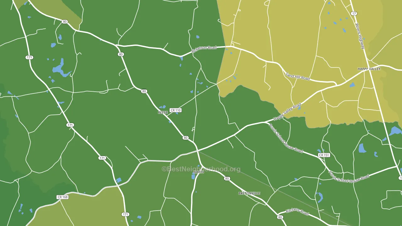 Reese, GA block-group voter-turnout map