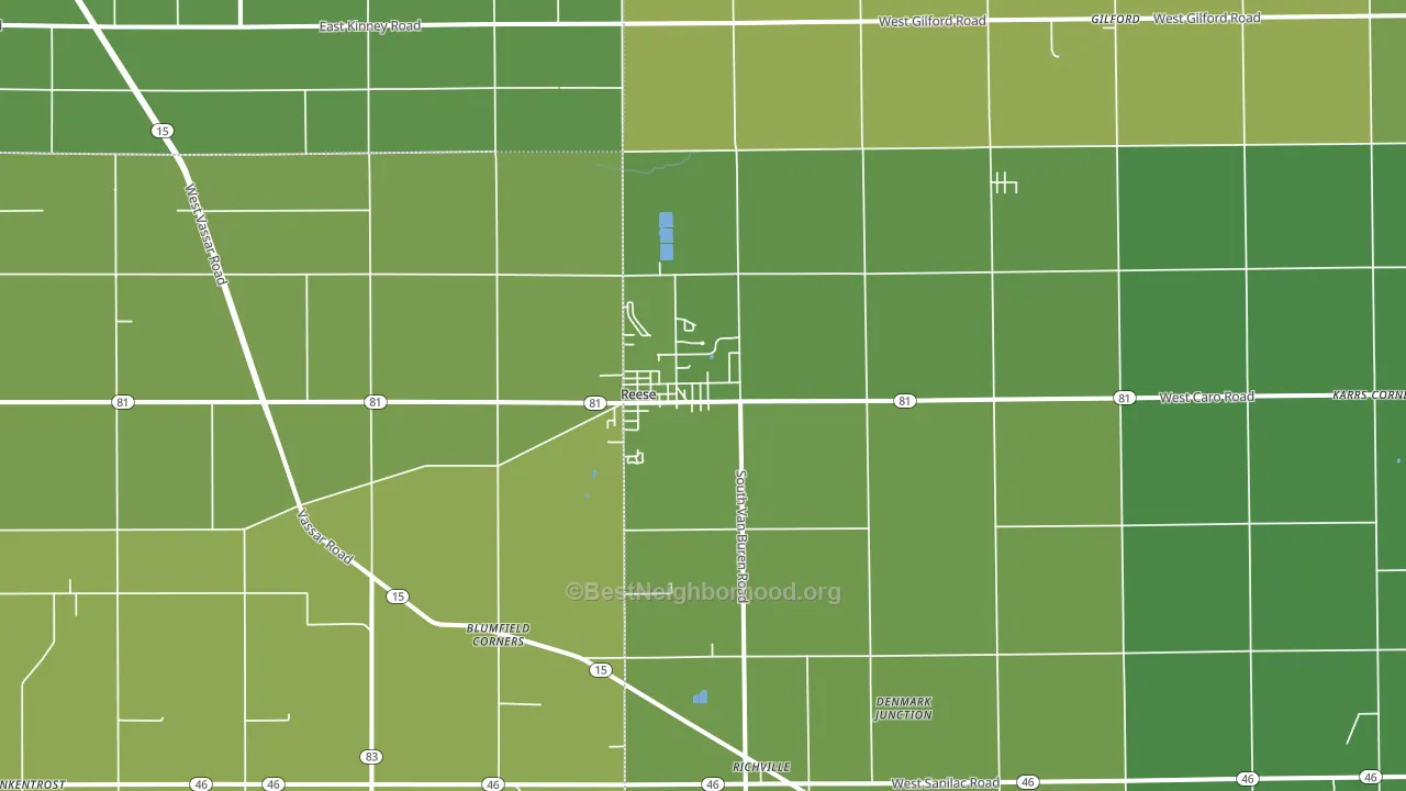 Reese, MI block-group voter-turnout map
