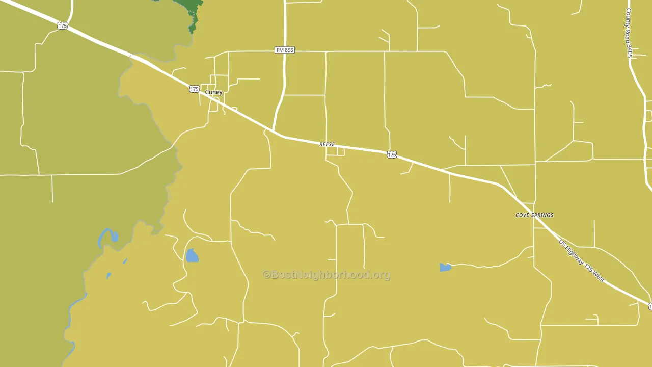 Reese, TX block-group voter-turnout map