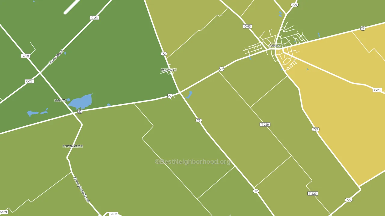 Reesville, OH block-group voter-turnout map