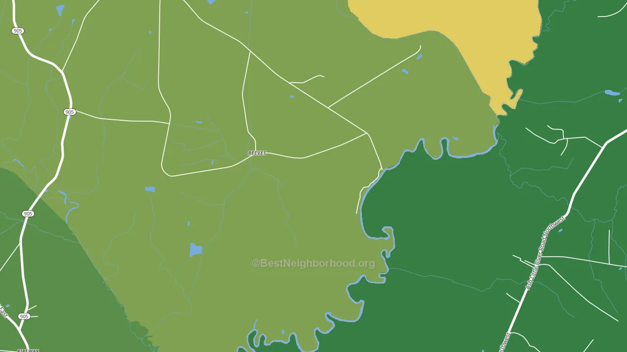 Reeves, NC block-group voter-turnout map
