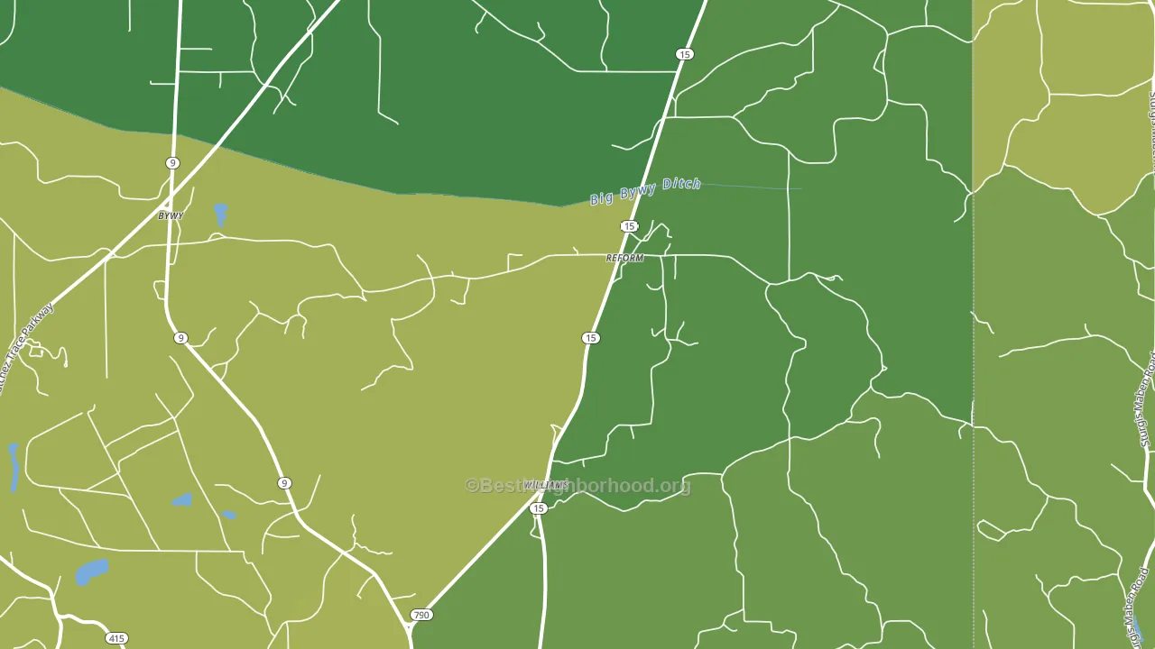 Reform, MS block-group voter-turnout map