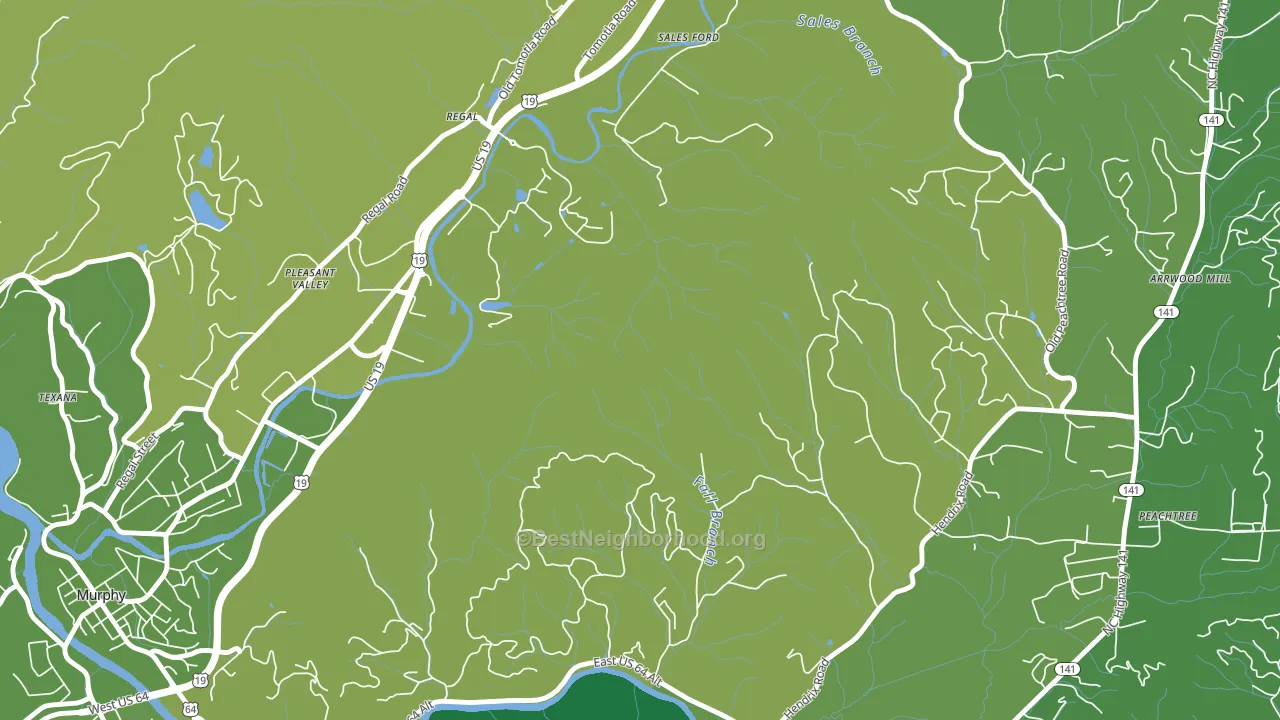 Regal, NC block-group voter-turnout map