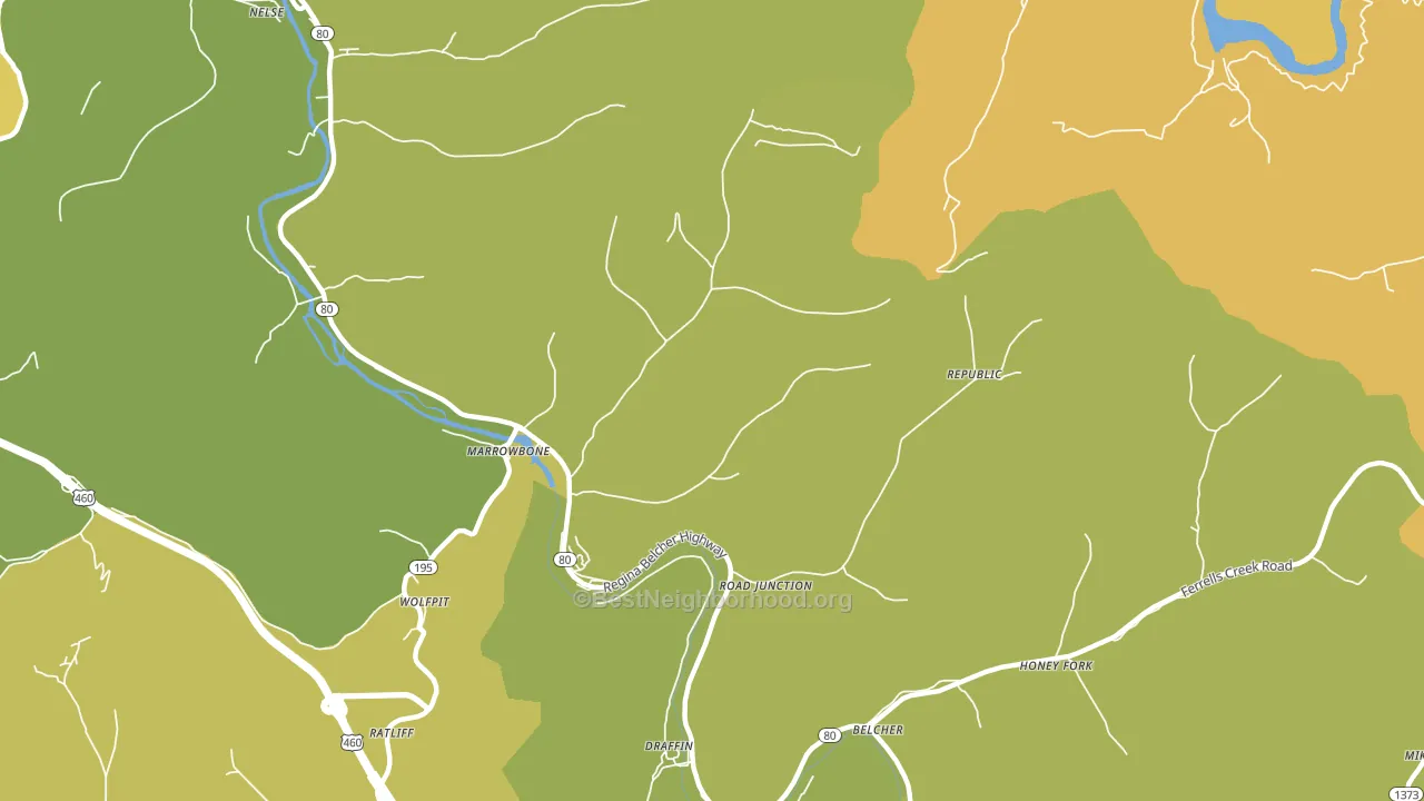 Regina, KY block-group voter-turnout map