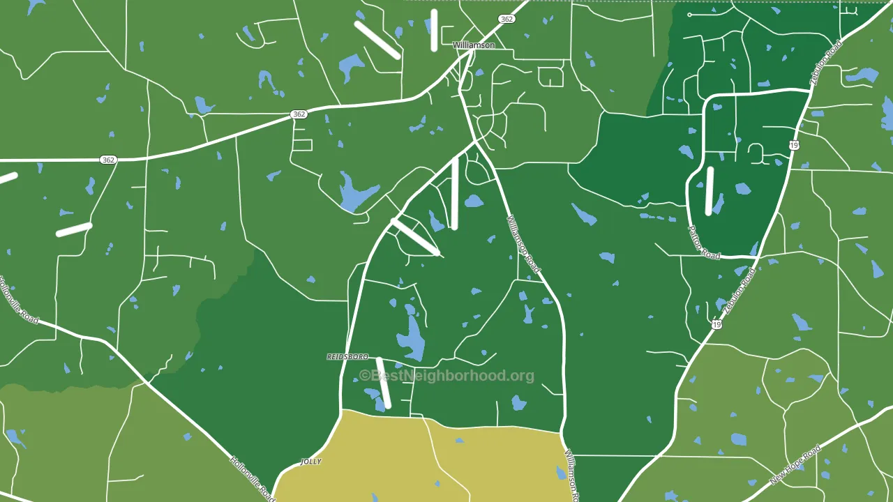 Reidsboro, GA block-group voter-turnout map