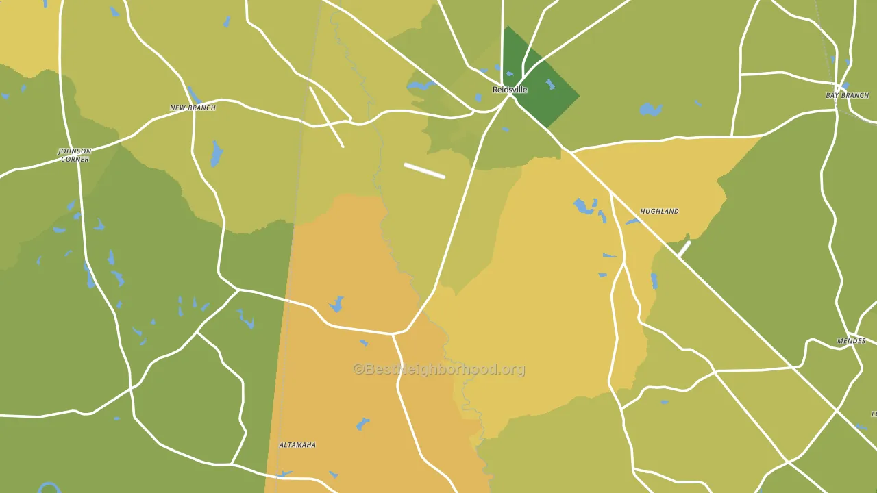 Reidsville, GA block-group voter-turnout map