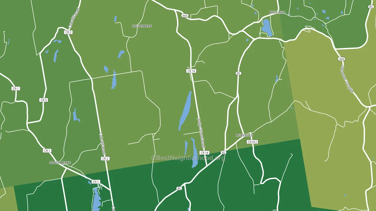 Reidsville, NY block-group voter-turnout map