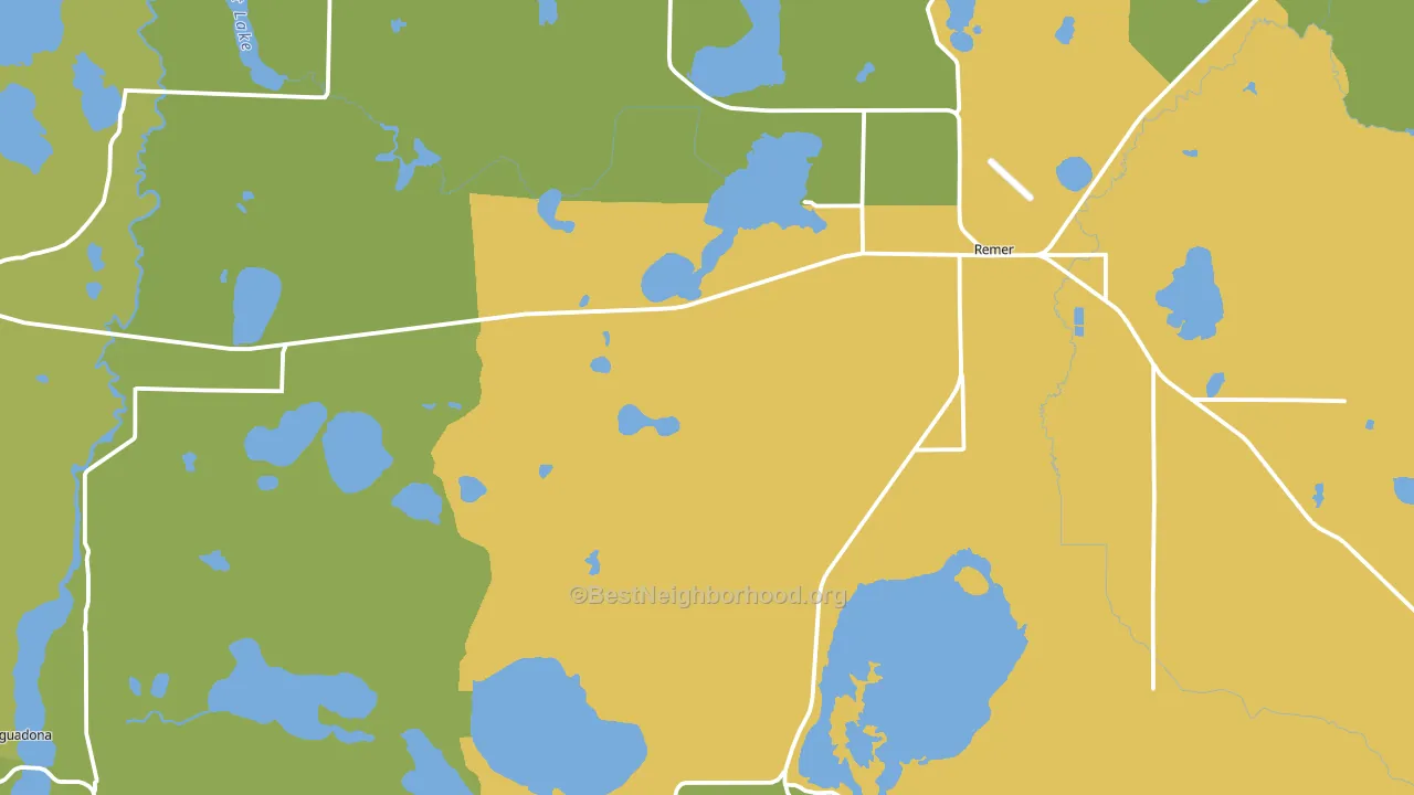 Remer, MN block-group voter-turnout map