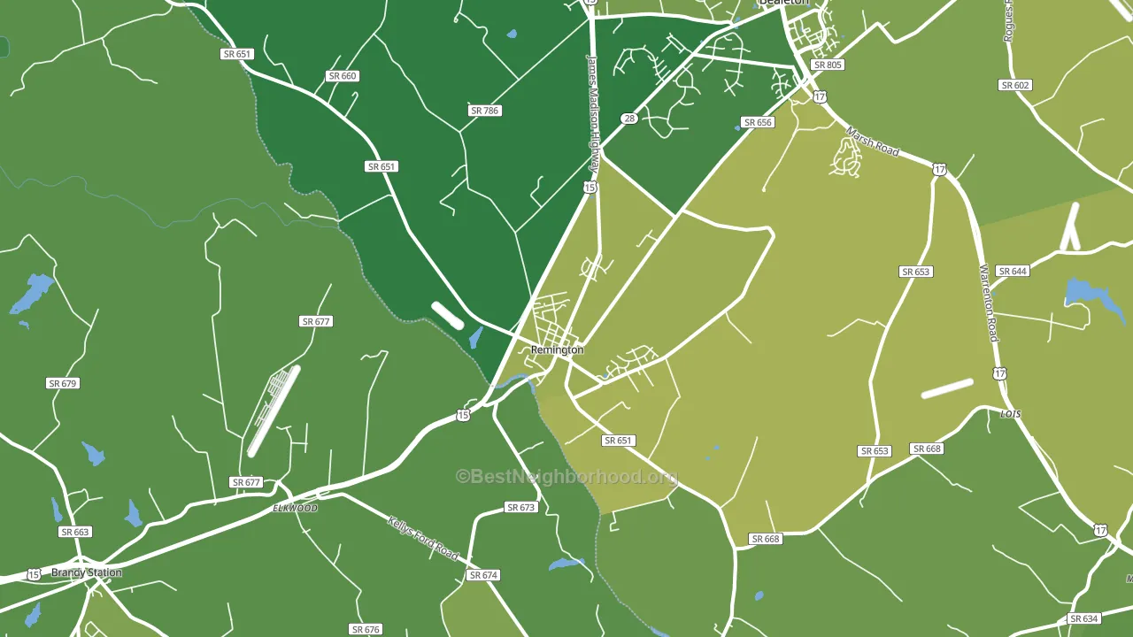 Remington, VA block-group voter-turnout map