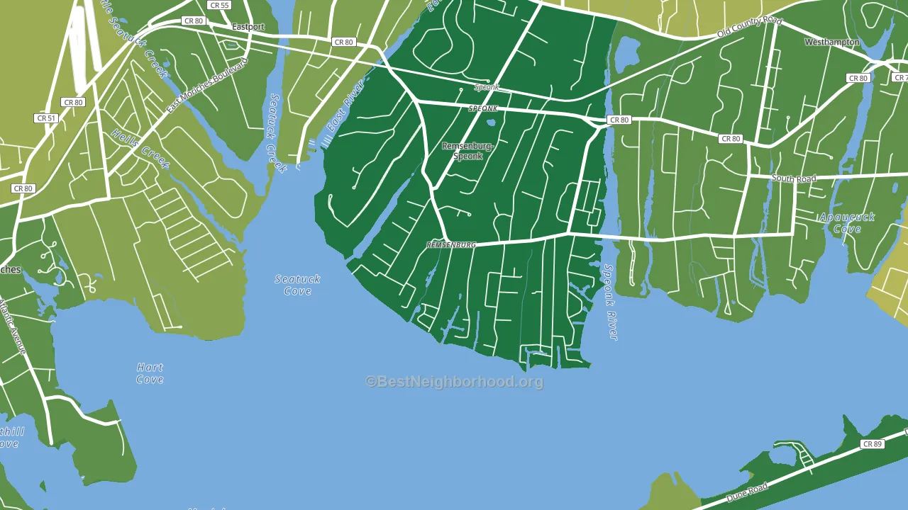 Remsenburg, NY block-group voter-turnout map