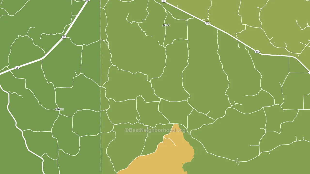 Remus, MS block-group voter-turnout map