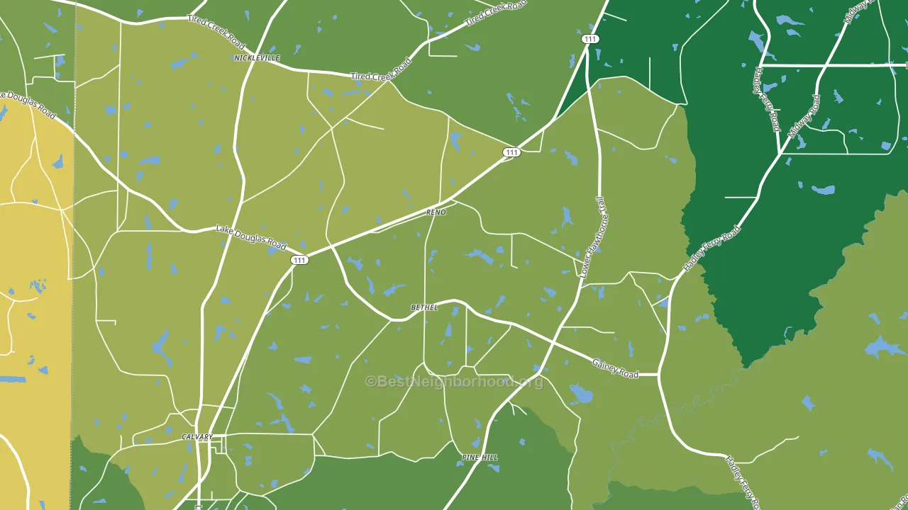 Reno, GA block-group voter-turnout map