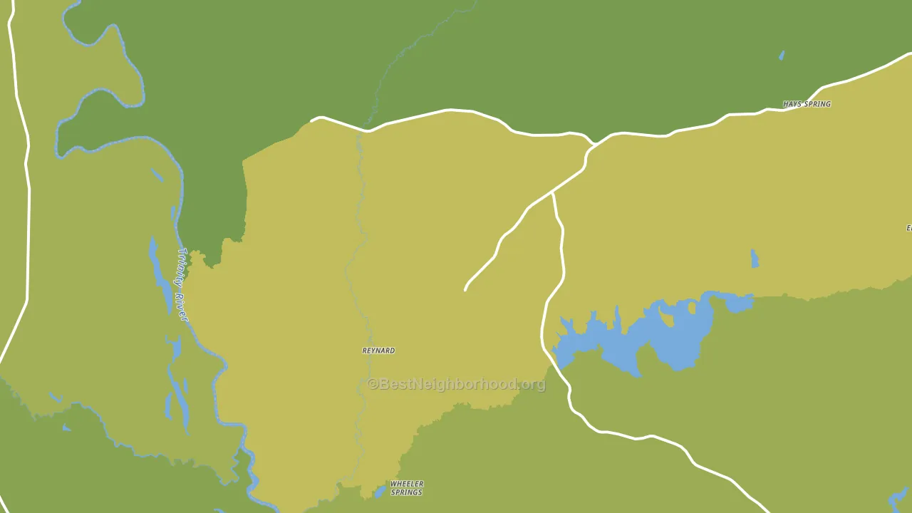 Reynard, TX block-group voter-turnout map