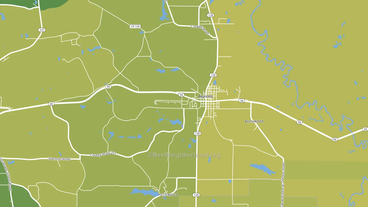 Reynolds, GA block-group voter-turnout map