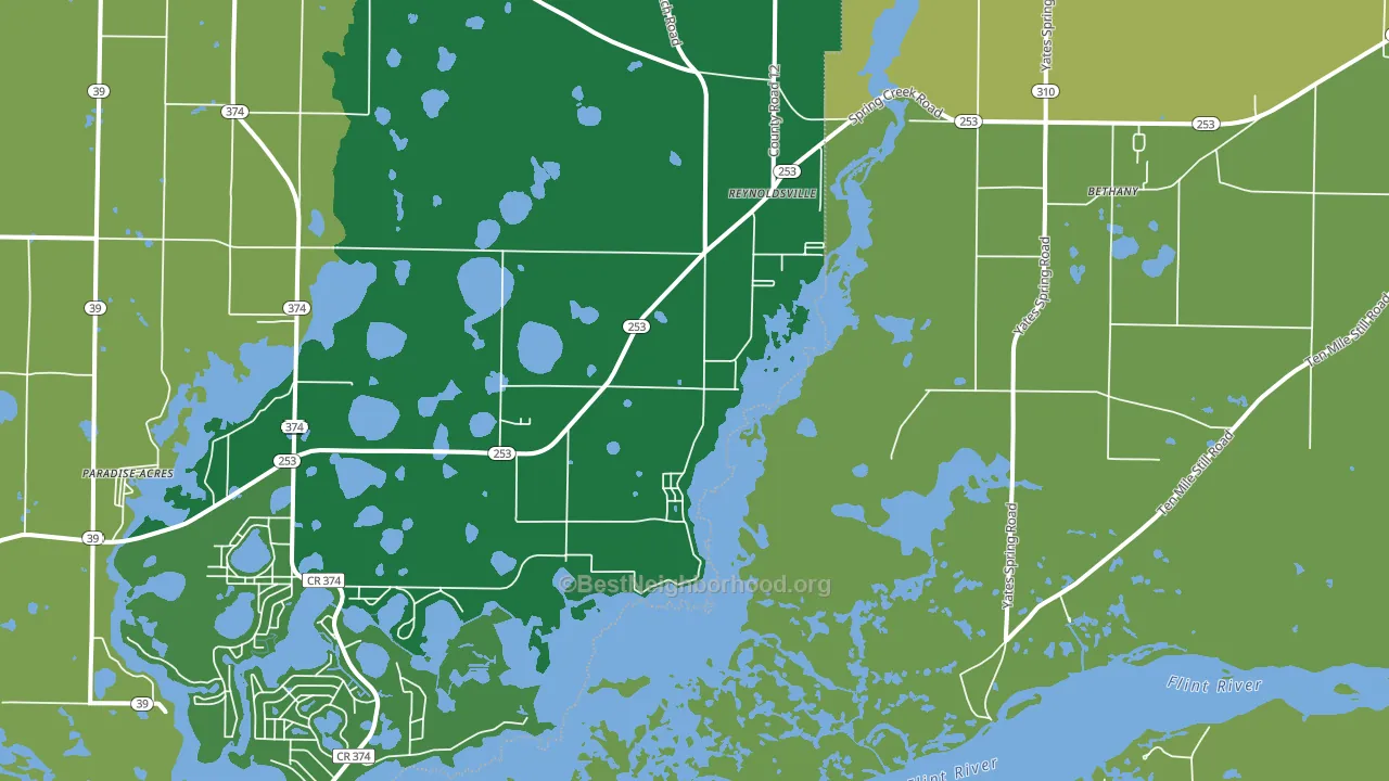 Reynoldsville, GA block-group voter-turnout map