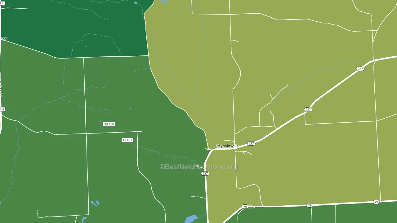 Reynoldsville, NY block-group voter-turnout map