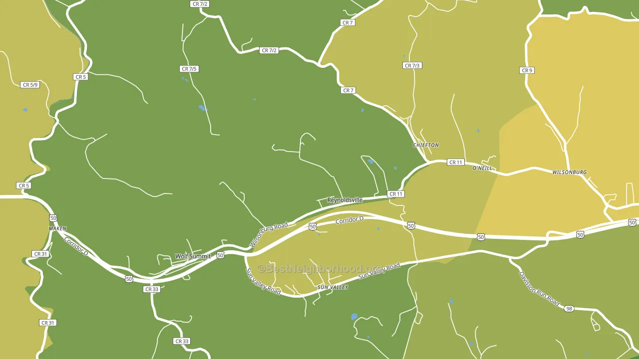 Reynoldsville, WV block-group voter-turnout map