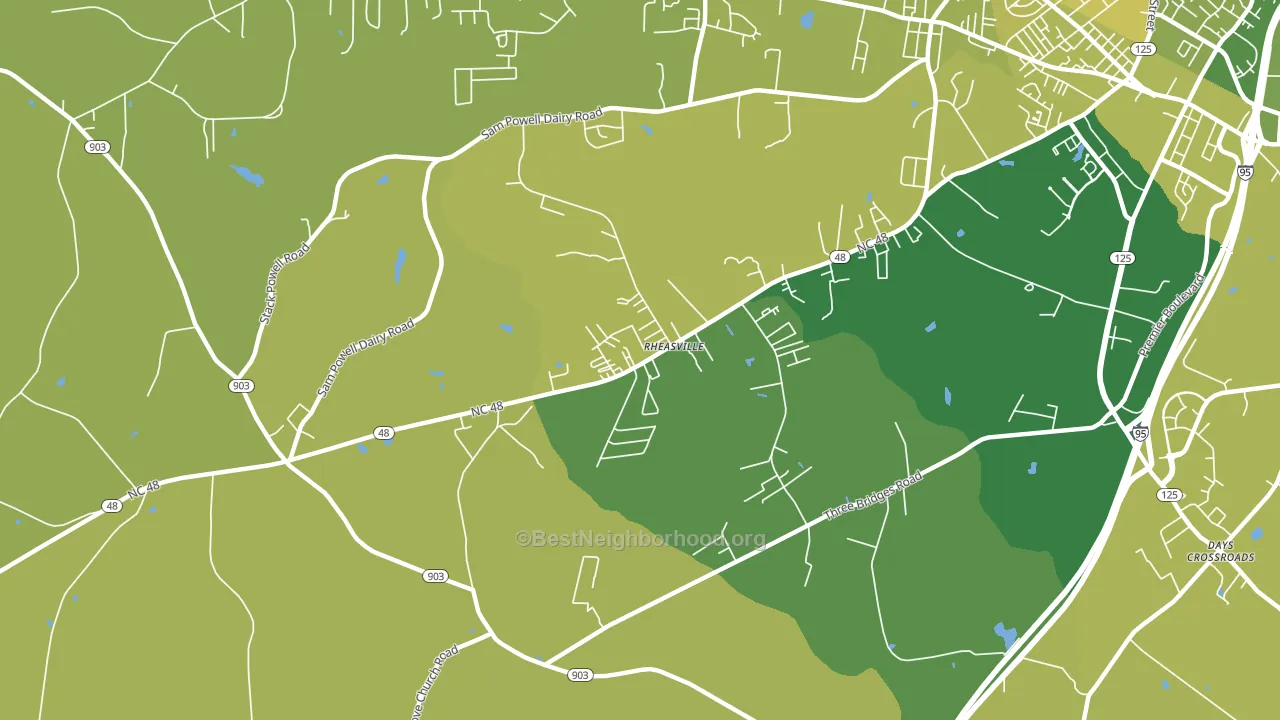 Rheasville, NC block-group voter-turnout map