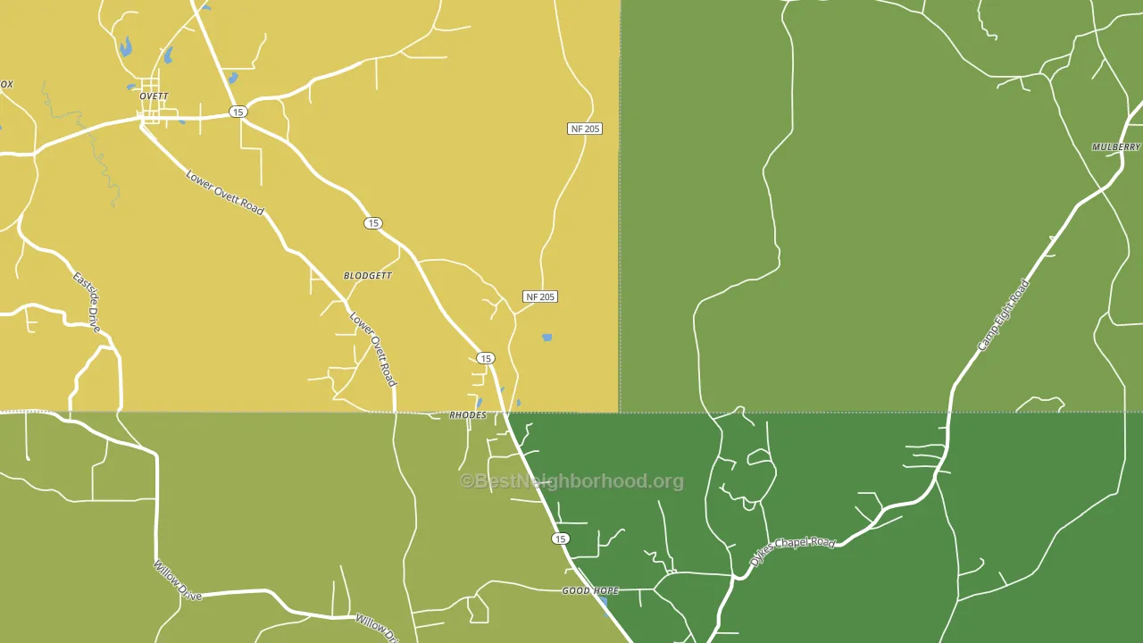 Rhodes, MS block-group voter-turnout map