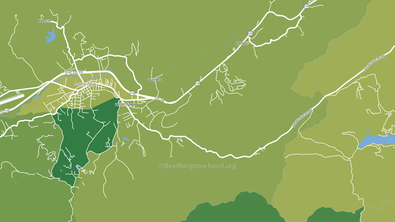 Rhodo, NC block-group voter-turnout map