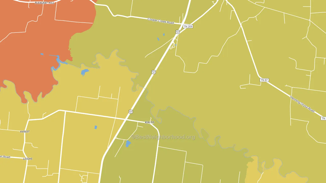 Rialto, TN block-group voter-turnout map