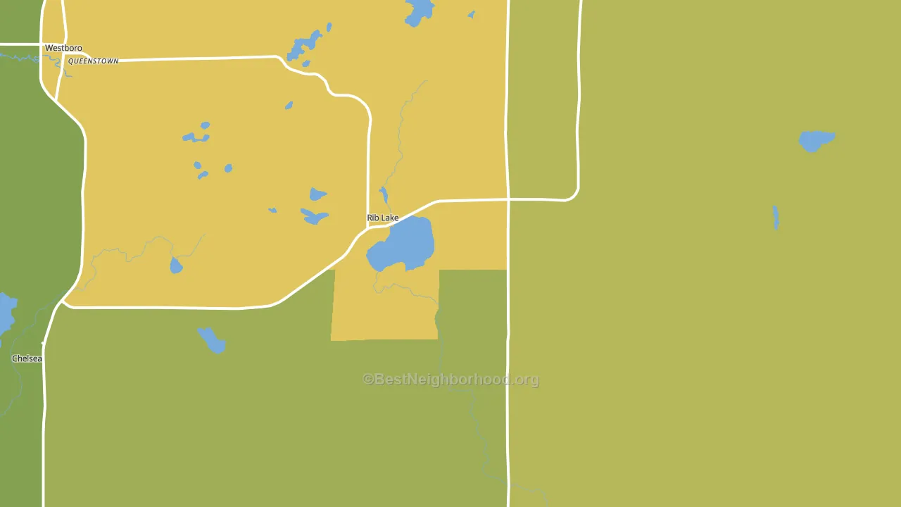 Rib Lake, WI block-group voter-turnout map