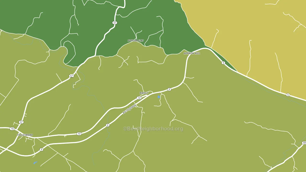 Ribolt, KY block-group voter-turnout map