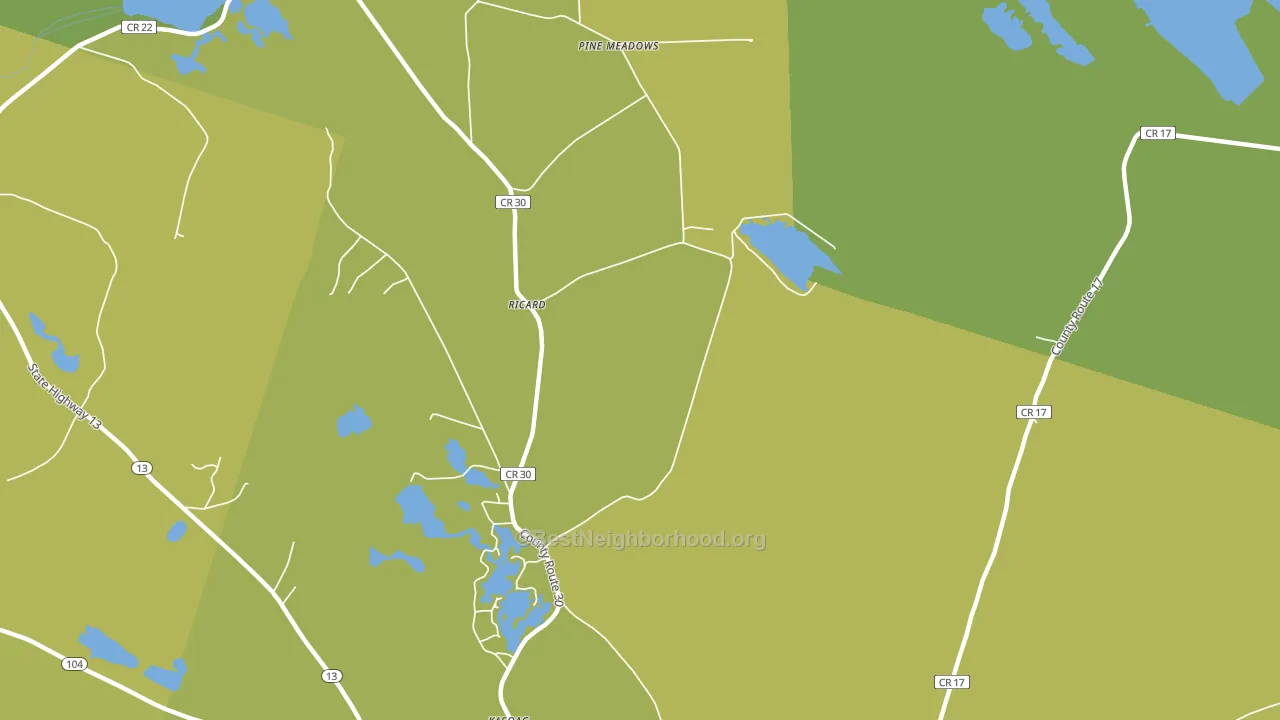 Ricard, NY block-group voter-turnout map