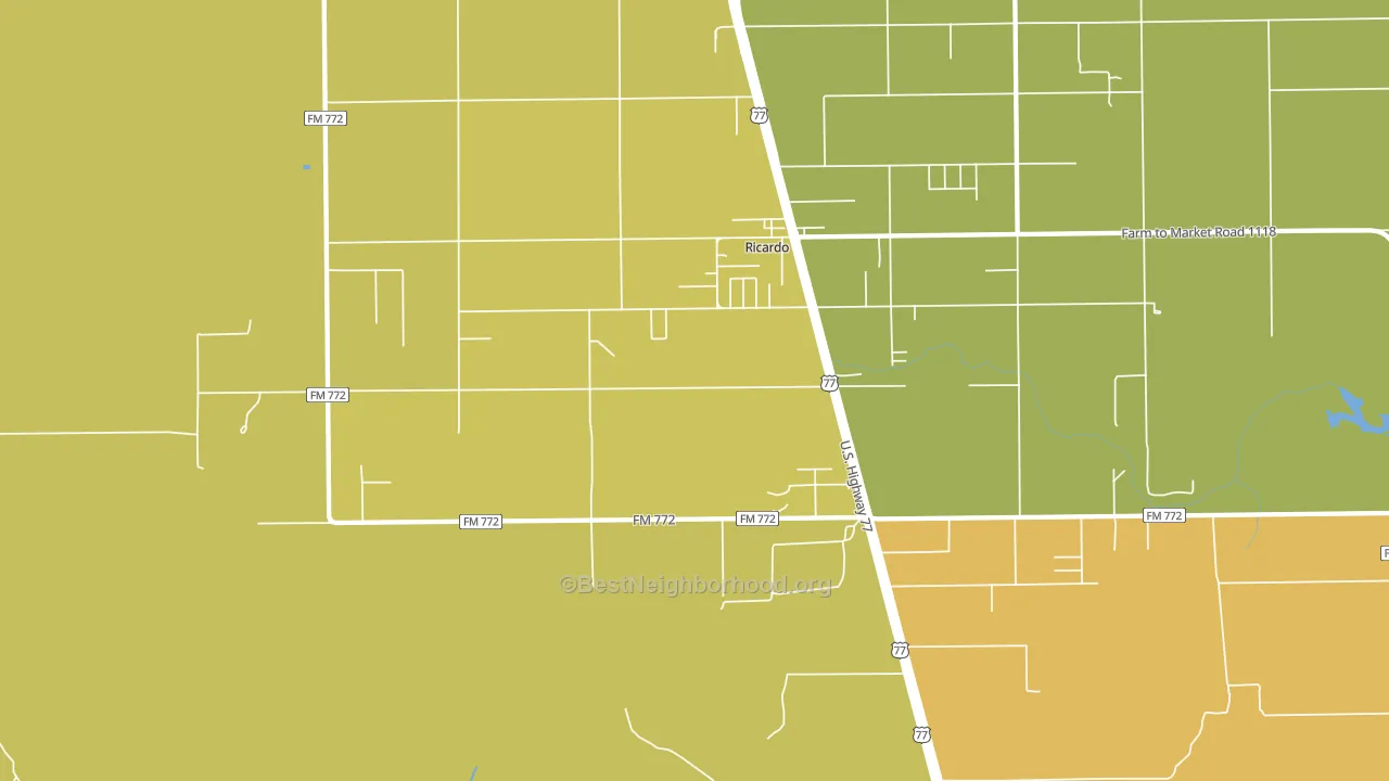 Ricardo, TX block-group voter-turnout map