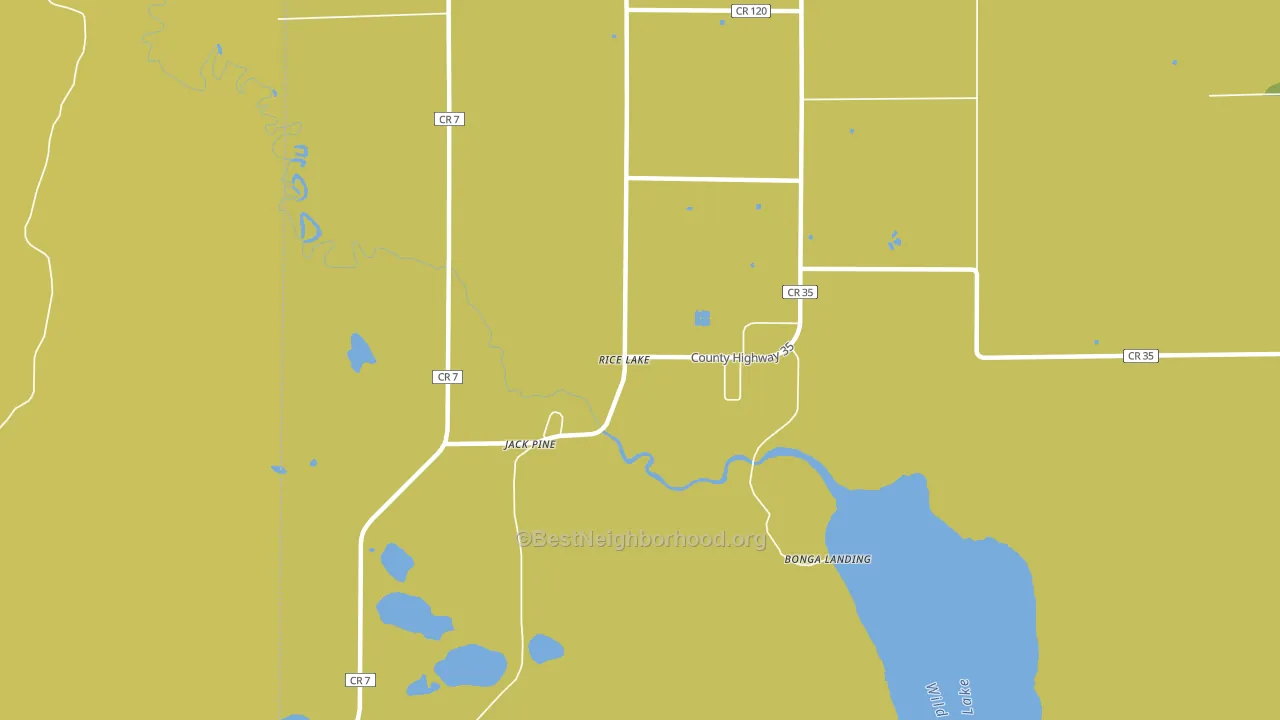 Rice Lake, MN block-group voter-turnout map