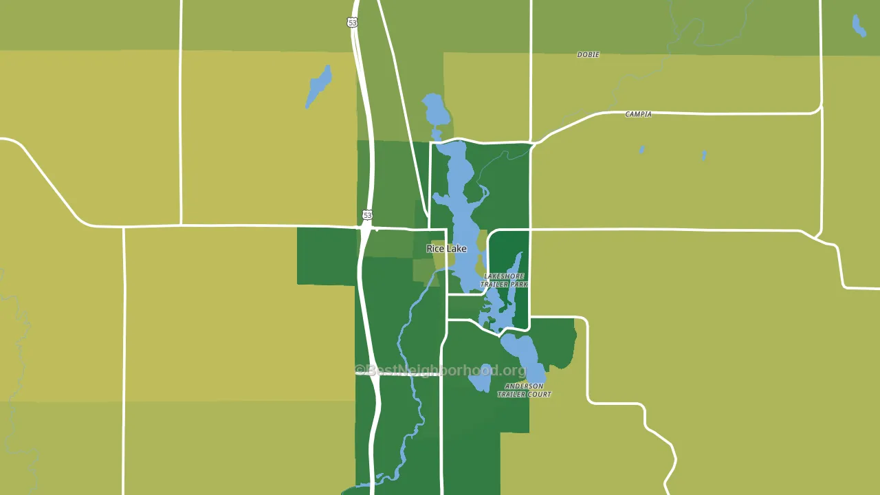 Rice Lake, WI block-group voter-turnout map