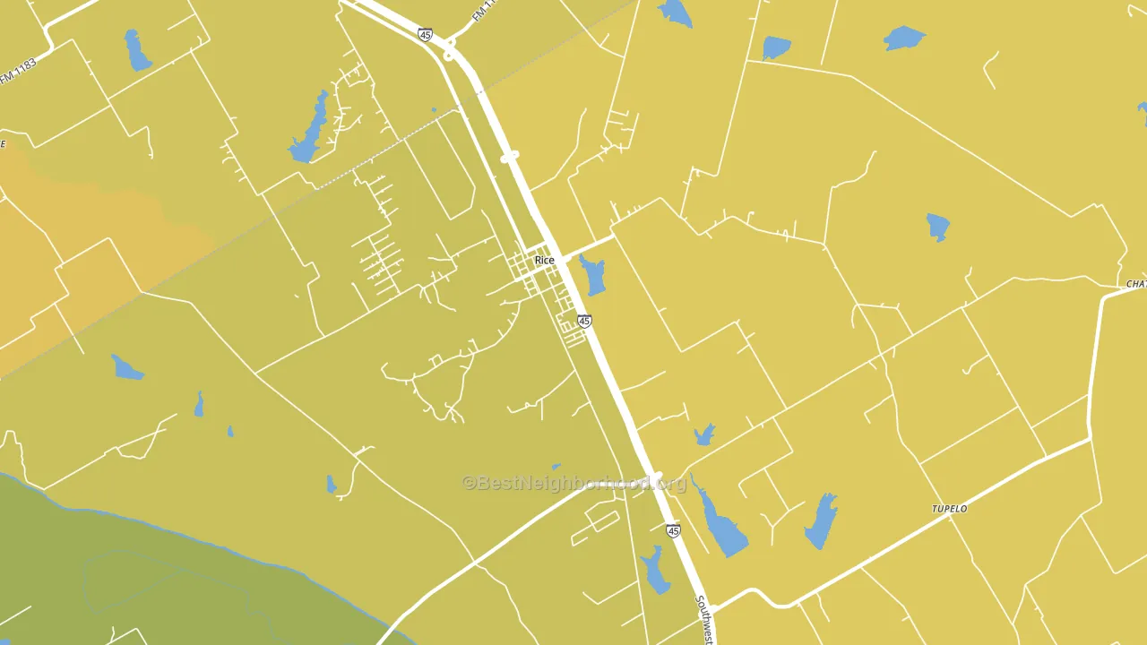 Rice, TX block-group voter-turnout map
