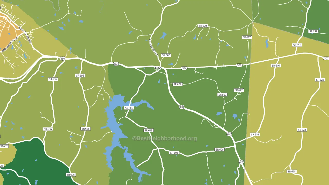 Rice, VA block-group voter-turnout map