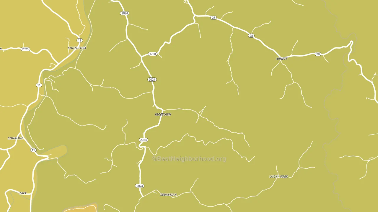 Ricetown, KY block-group voter-turnout map