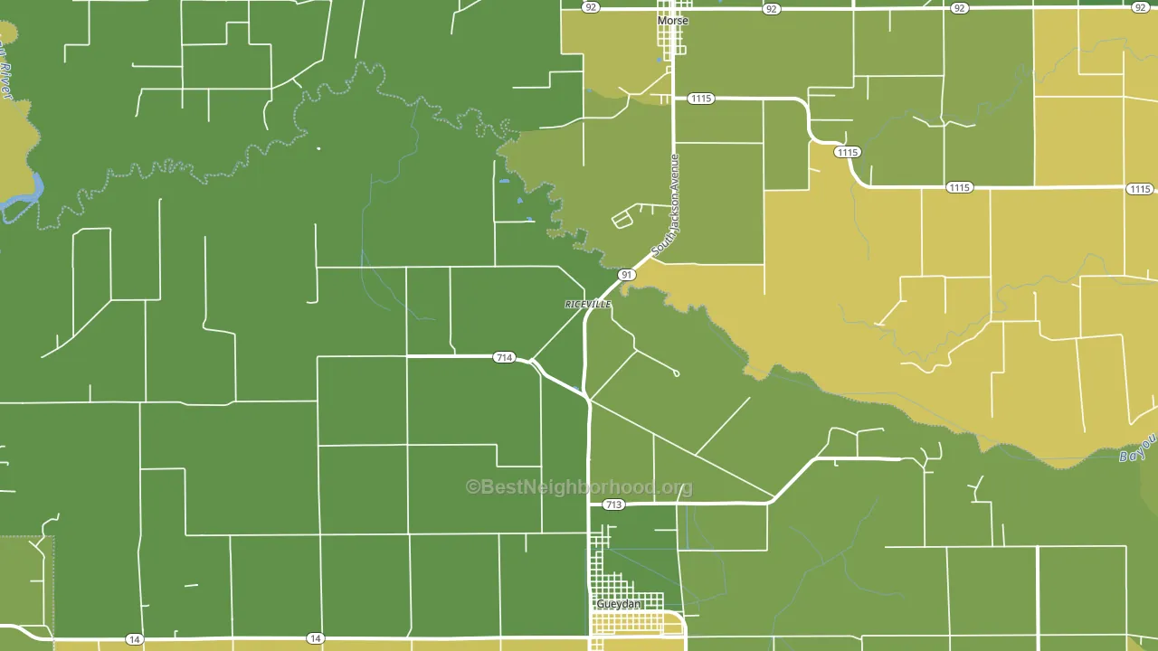 Riceville, LA block-group voter-turnout map
