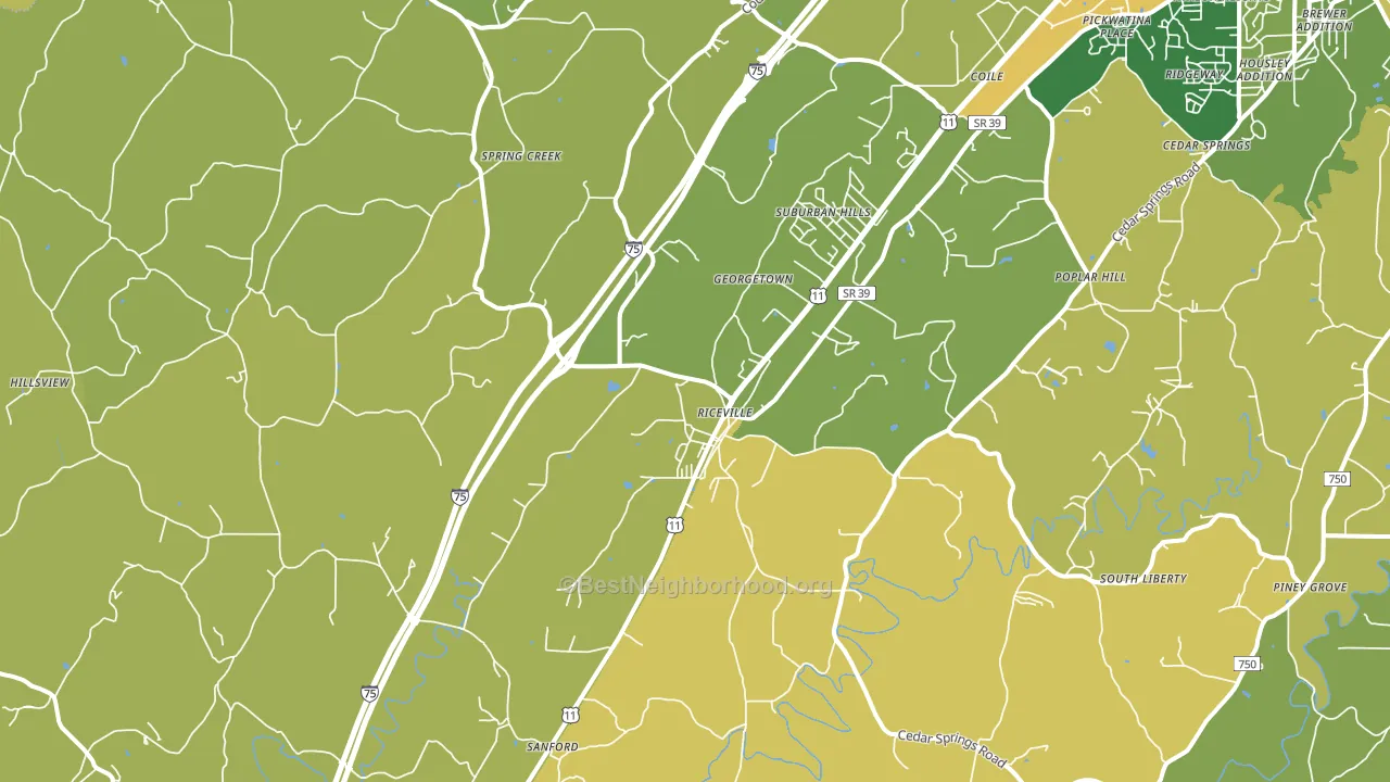 Riceville, TN block-group voter-turnout map