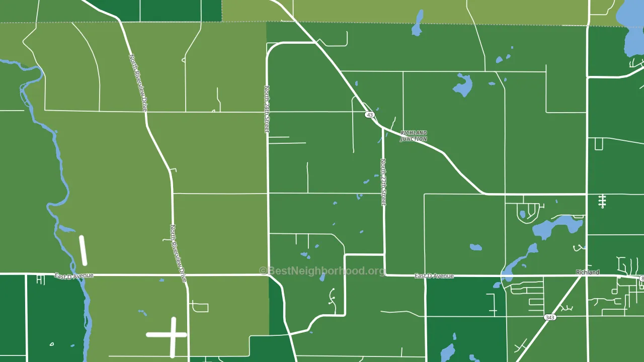 Richland Junction, MI block-group voter-turnout map