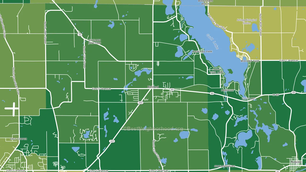 Richland, MI block-group voter-turnout map