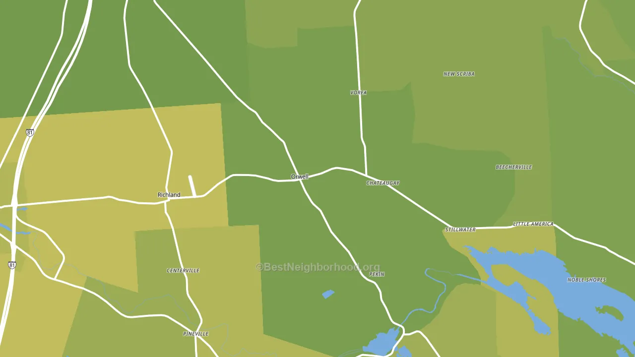 Richland, NY block-group voter-turnout map