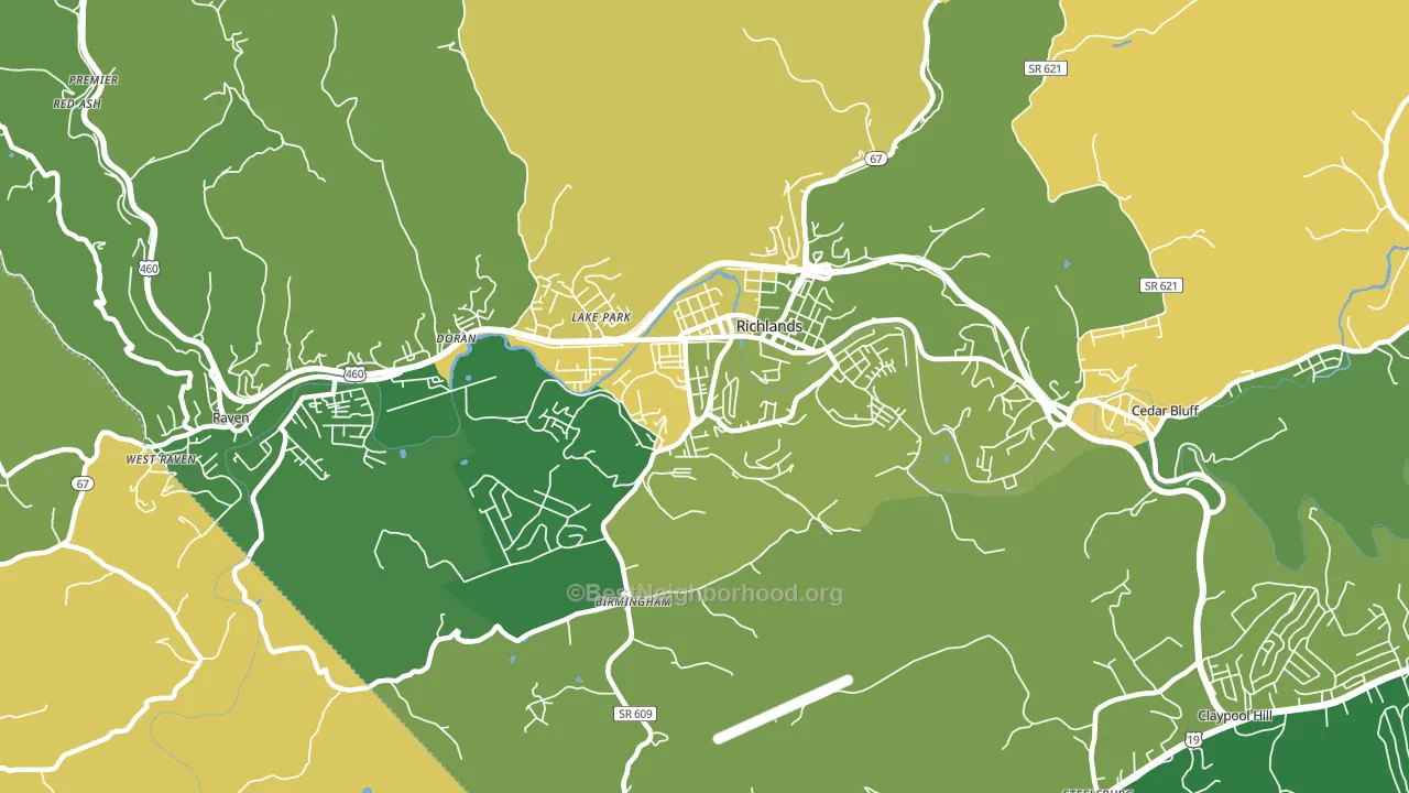 Richlands, VA block-group voter-turnout map