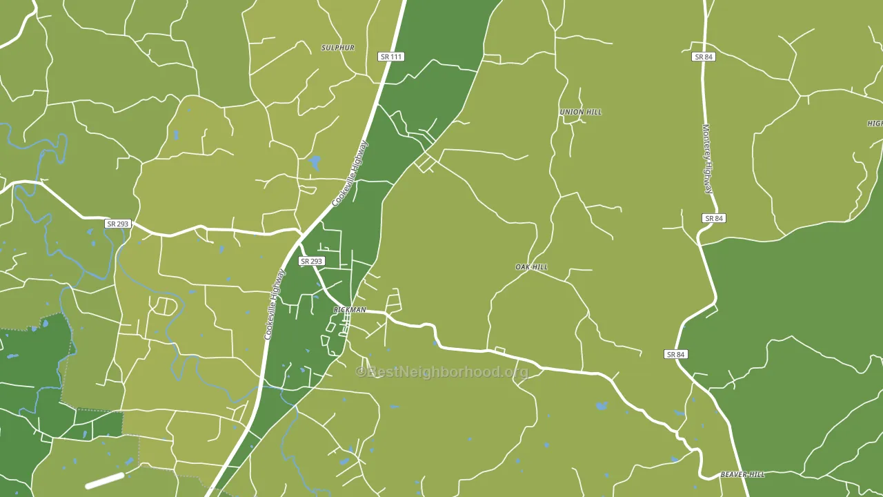 Rickman, TN block-group voter-turnout map