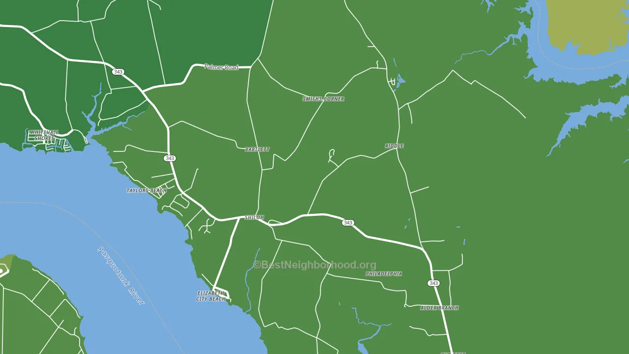 Riddle, NC block-group voter-turnout map